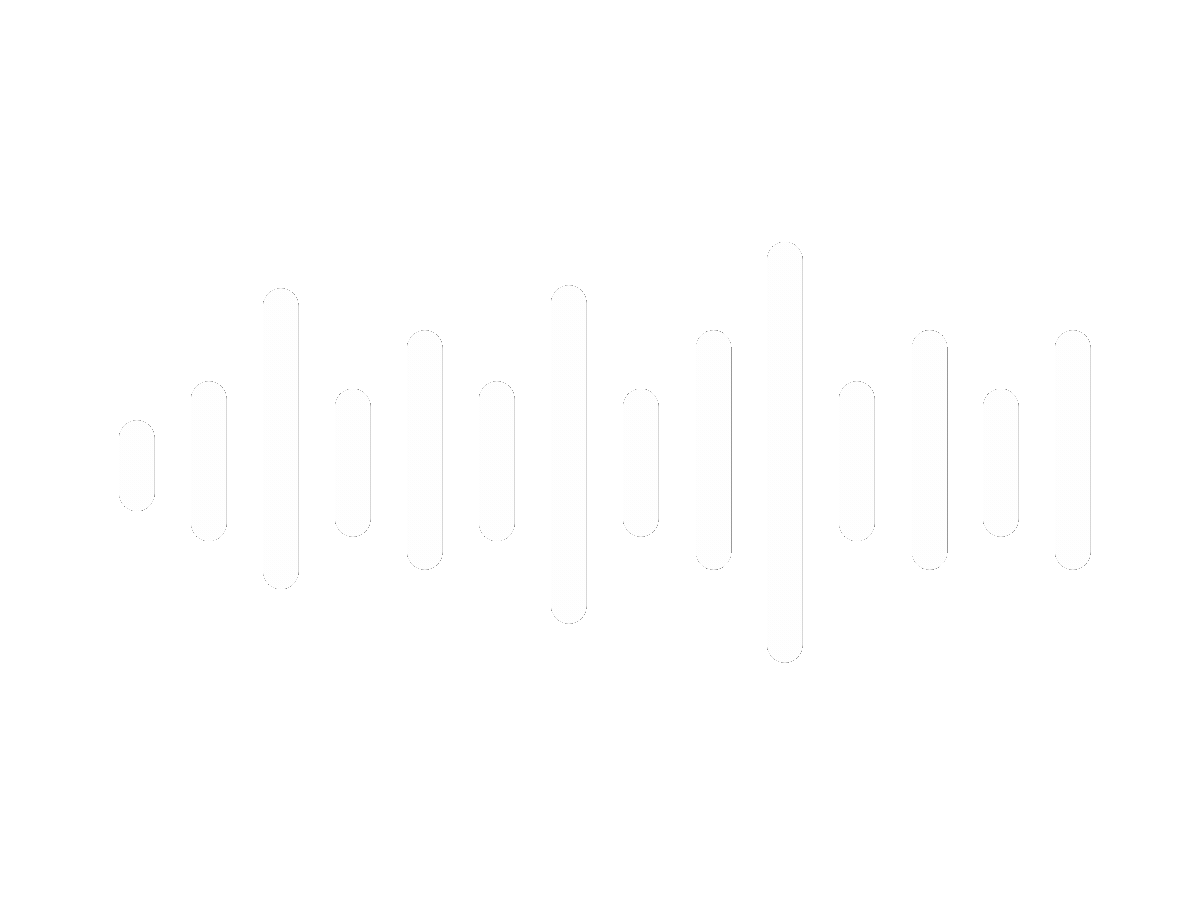 સાઉન્ડ વેવ્સ