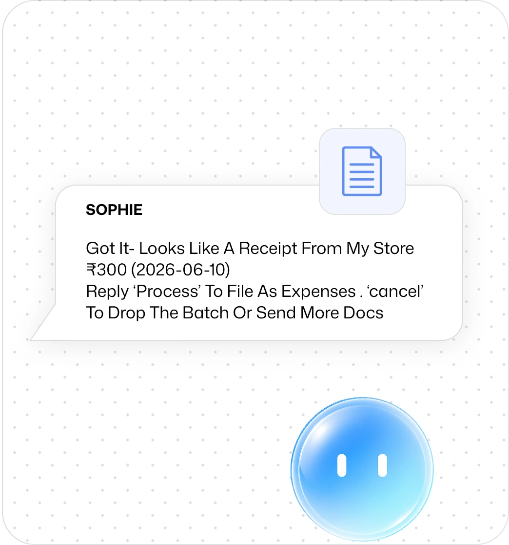Sophie workflow preview 3